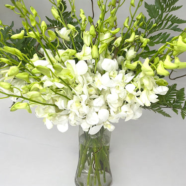 White Dendrobium Orchid Arrangement